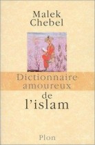 Dictionnaire amoureux de l'islam 