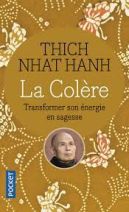 La colère - Transformer son énergie en sagesse