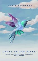 Crois en tes ailes