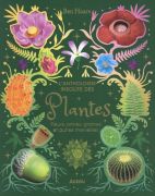 L'Anthologie insolite des plantes - Fleurs, arbres, graines et autres merveilles 
